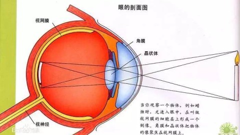 这是一个很常见的疑问。简单直接的结论是，散瞳本身对眼睛的长期矫正视力没有任何负面影响，反而在许多情况下是获得准确矫正视力的必要步骤