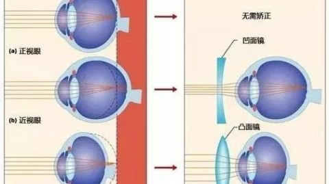 一、结论先行，为什么说慢散更准？